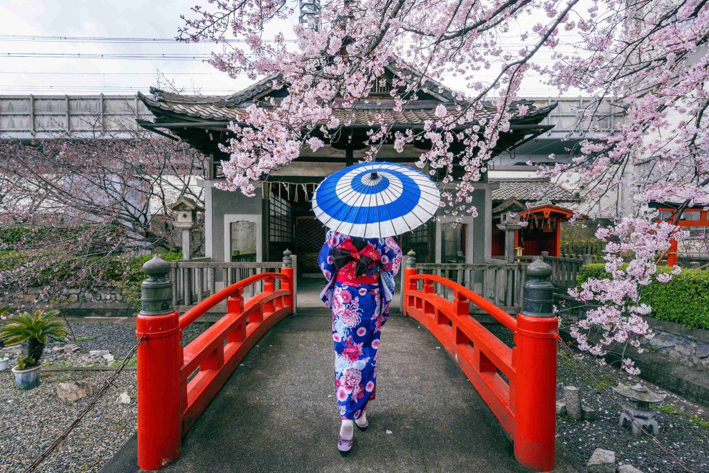 asian-woman-wearing-japanese-traditional-kimono-cherry-blossom-spring-kyoto-temple-japan