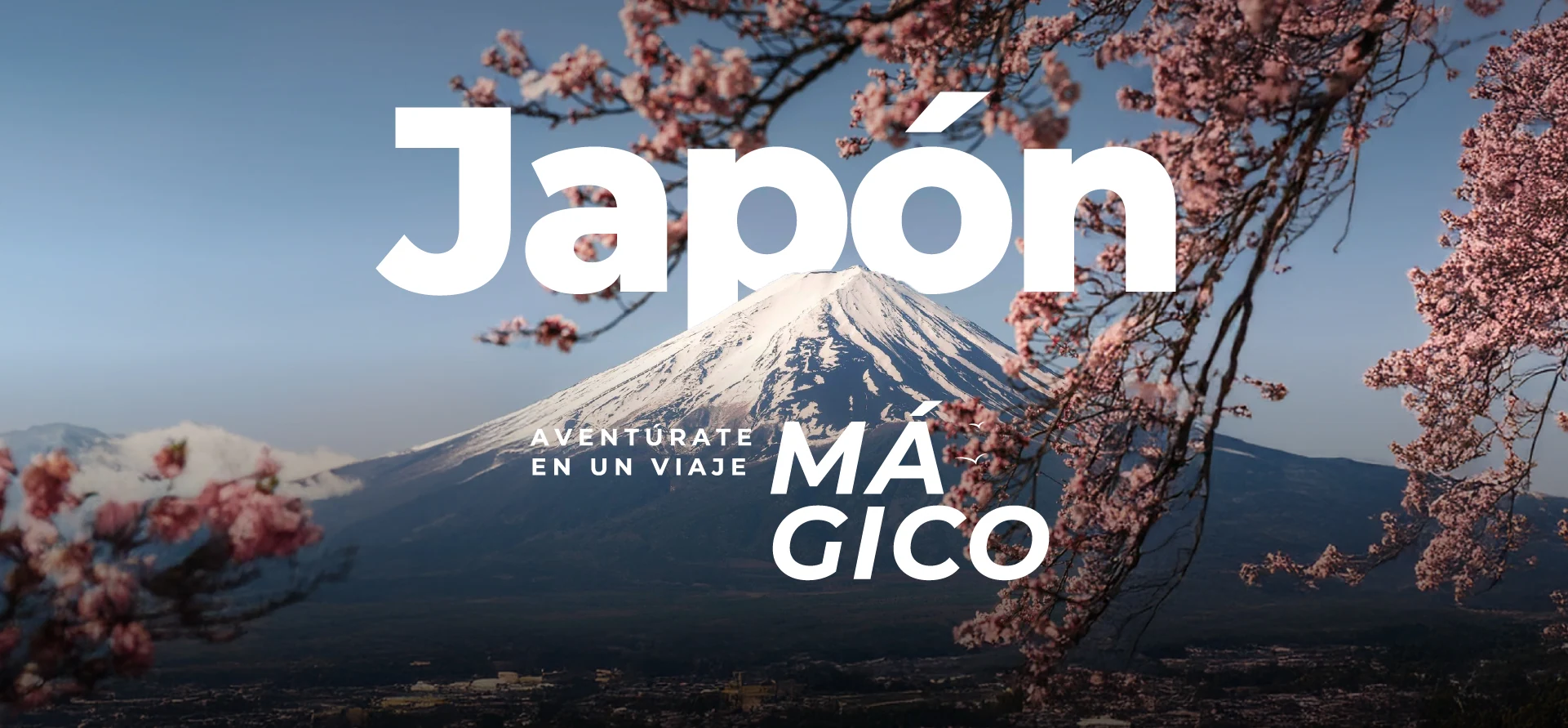 banner-10-japón 2