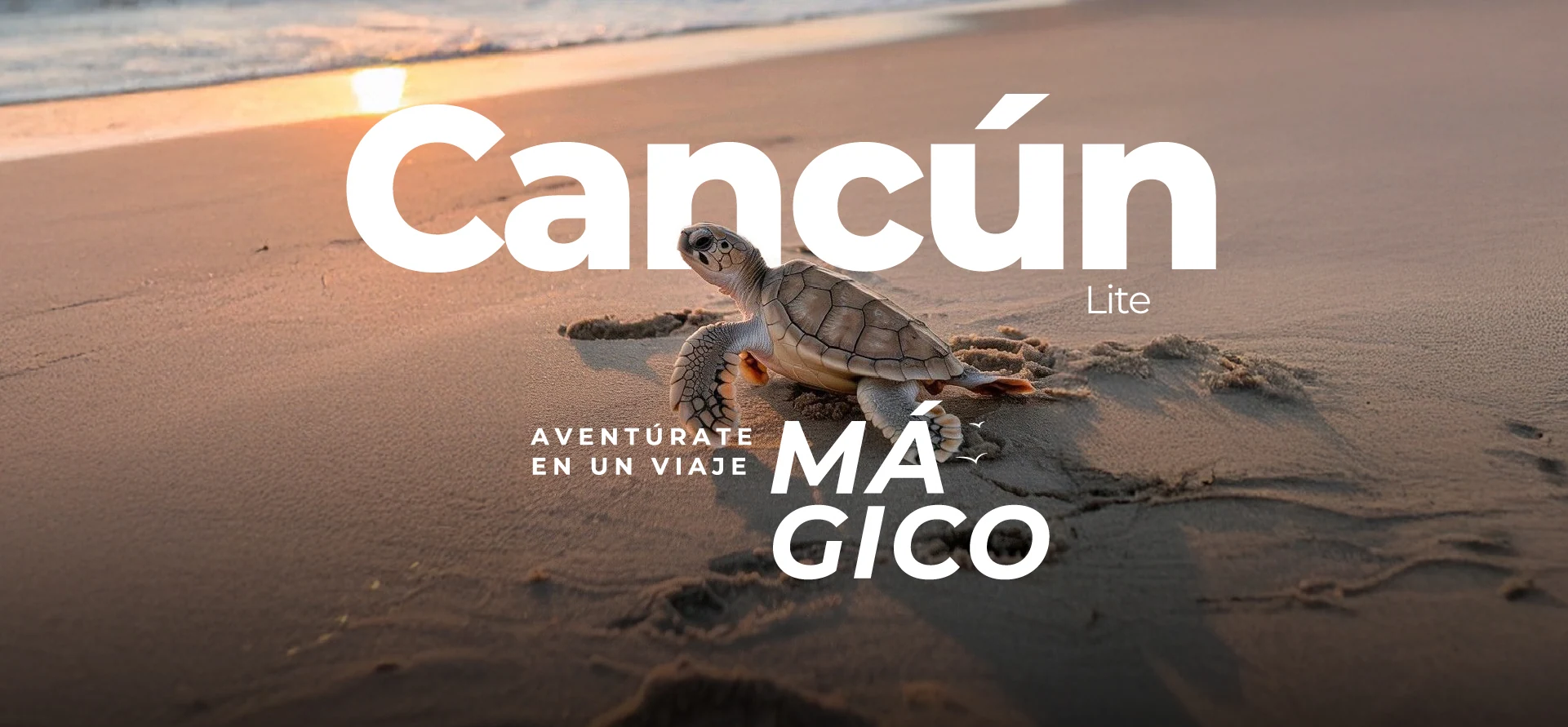 banner-7-cancún-lite (1)